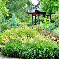 summer park with a beautiful gazebo and flower beds