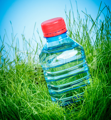 Water bottle on the grass