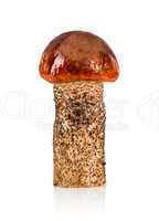 Orange-cap Boletus mushroom