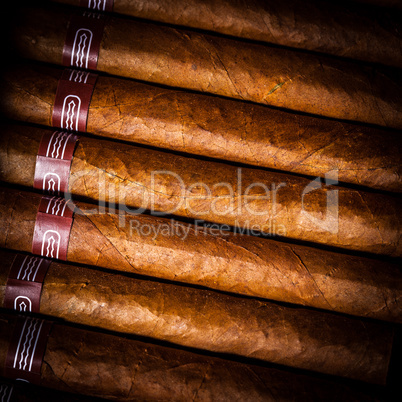 Cigars in humidor