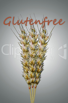 Glutenfrei