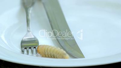 Dish of beetle larvae.larvae beetle on a plate.