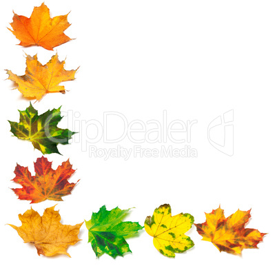 Letter L composed of autumn maple leafs