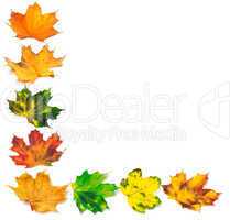 Letter L composed of autumn maple leafs