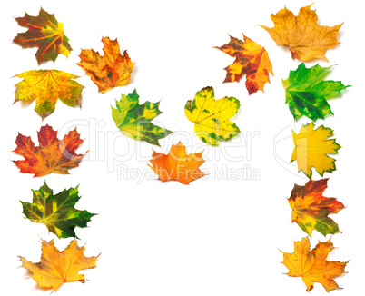 Letter M composed of autumn maple leafs