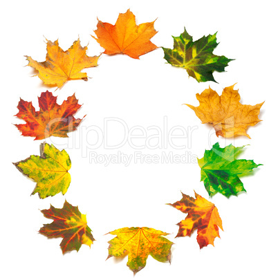 Letter O composed of autumn maple leafs