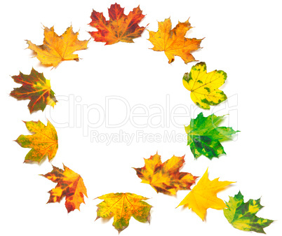 Letter Q composed of autumn maple leafs