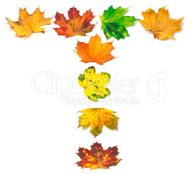 Letter A composed of autumn maple leafs