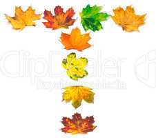 Letter A composed of autumn maple leafs