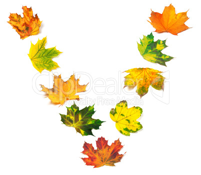 Letter V composed of autumn maple leafs