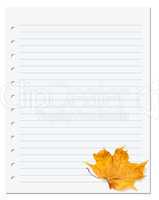 Notebook paper with autumn dry maple leaf on white