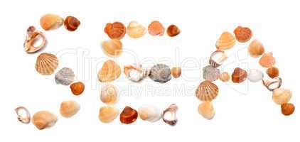 Text SEA composed of seashells