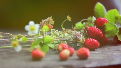 Strawberries on the table (close-up)