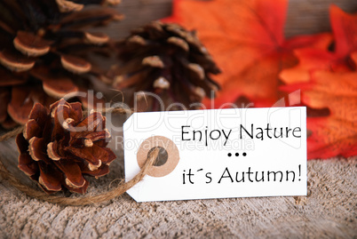 Autumn Label with Enjoy Nature, Its Autumn on it