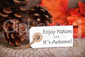 Autumn Label with Enjoy Nature, Its Autumn on it