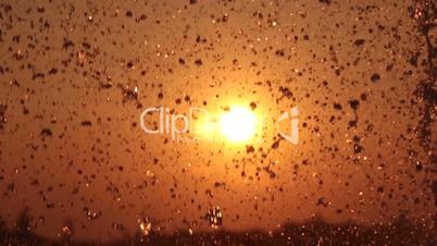 water droplets in the sunset