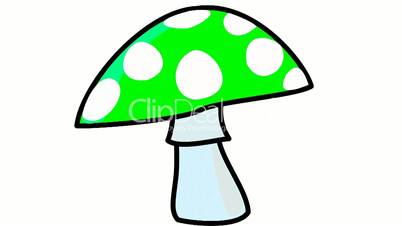 color mushroom