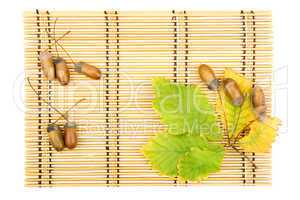 leaves of oak acorns on a mat from straw