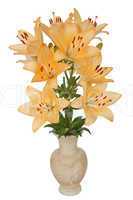 Asian lily flowers, lat. Asiatic Hybrids, in a ceramic vase, iso