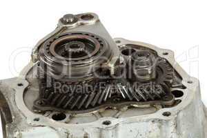 Transmission gears, isolated on a white background