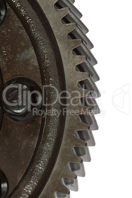 Teeth of gear cogwheel, isolated on white background