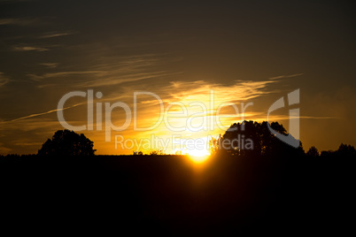 Beautiful sunset with tree