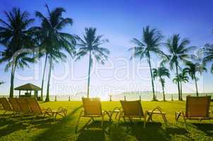 Deckchairs on beach