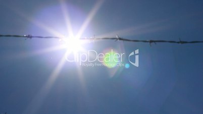 barbed wire on sky and sun background
