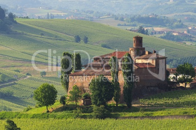 Barolo Castello di La Volta 12