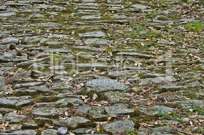 Kopfsteinpflaster - pebble stone 04