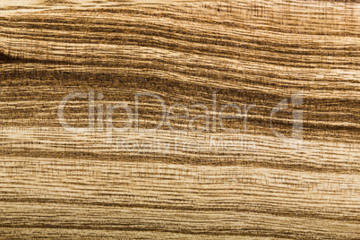 Wooden texture, background