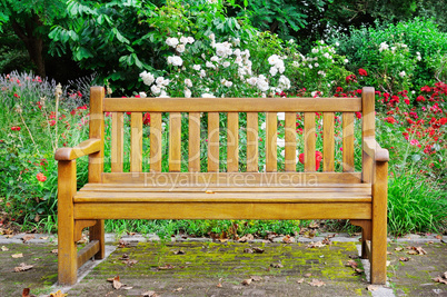 Wooden bench in the autumn park