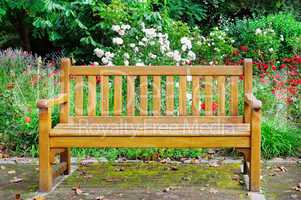 Wooden bench in the autumn park