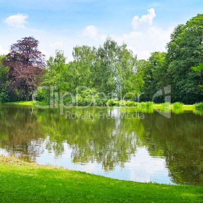 lake in the summer park