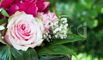 pink flowers