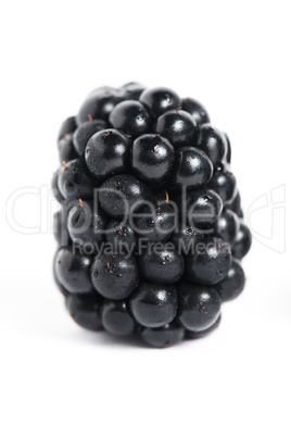 Sweet blackberry isolated on white background