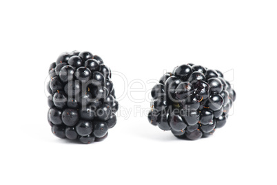 Sweet blackberry isolated on white background