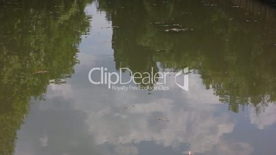 calm water surface of lake
