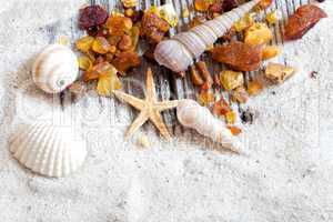 Bernsteinfunde liegen mit Muscheln und Sand auf Holz