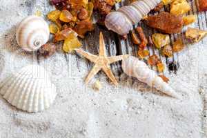 Bernsteinfunde liegen mit Muscheln und Sand auf Holz