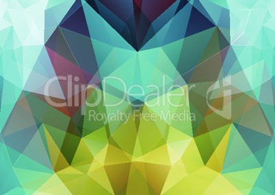 Polygon semi-symmetric background