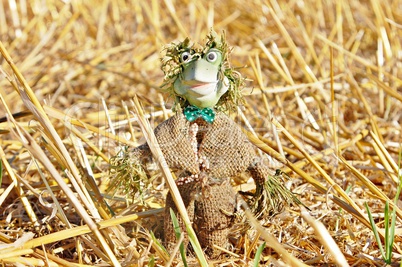 Halloween Vogelscheuche