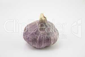 The head of garlic on a neutral background
