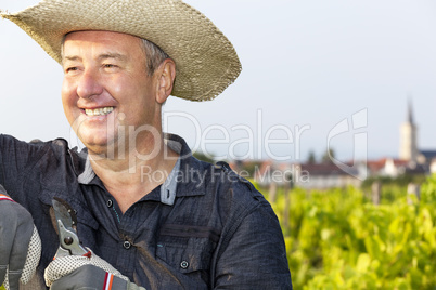 in the Vineyard