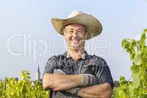 in the Vineyard
