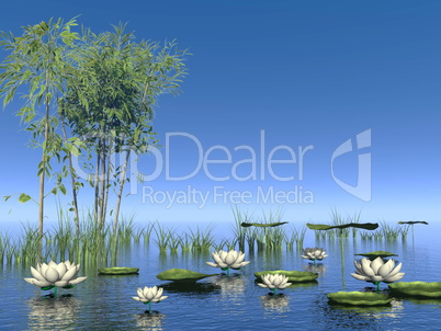 Bamboo and lily flowers - 3D render