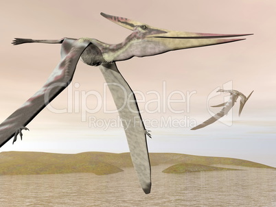 Pteranodon flying - 3D render