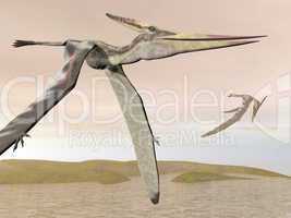 Pteranodon flying - 3D render