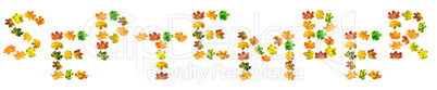 S E P T E M B E R text composed of autumn maple leafs