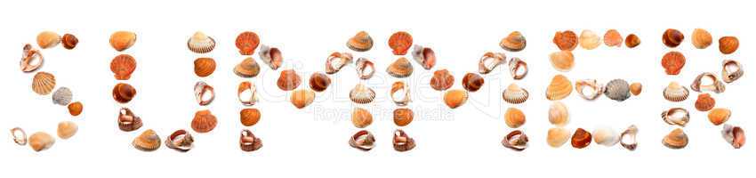 S U M M E R text composed of seashells